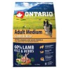 ONTARIO - TAGLIA MEDIA ALL'AGNELLO