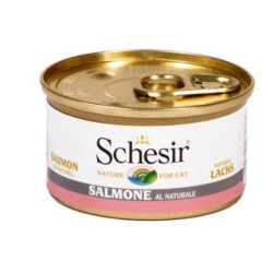 SCHESIR - Salmone in acqua...