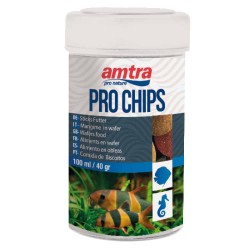 AMTRA - Pro chips